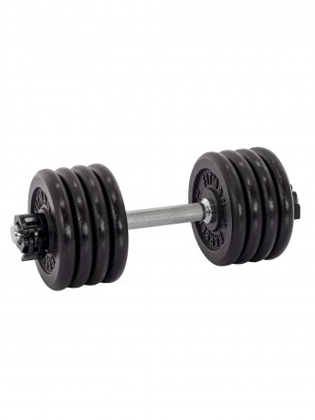 Гантель разборная чугунная FITMAN DAF-2023A 21.7 кг, гриф металлический, замок сегментированный зажим