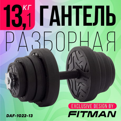 Гантель разборная FITMAN DAF-1022 13.1 кг, диски пластик, гриф металл с обрезиненной рукояткой