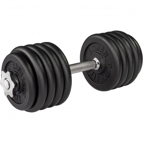 (Архив) Гантель разборная чугунная FITMAN DAF-2021 24.9 кг, гриф металлический, замки гайка Вейдера