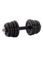 Гантель разборная чугунная FITMAN DAF-2022 18.9 кг, гриф металлический с обрезиненной рукояткой, замок гайка Вейдера