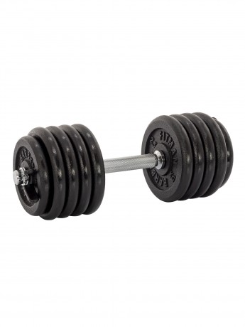 Гантель разборная чугунная FITMAN DAF-2023B 24.6 кг, гриф металлический, замок пружинный