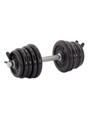 Гантель разборная чугунная FITMAN DAF-2023B 18.6 кг, гриф металлический, замок пружинный