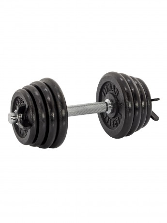 Гантель разборная чугунная FITMAN DAF-2023B 15.4 кг, гриф металлический, замок пружинный