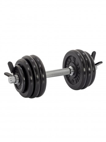 Гантель разборная чугунная FITMAN DAF-2023B 13.4 кг, гриф металлический, замок пружинный