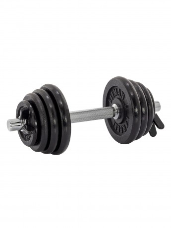 Гантель разборная чугунная FITMAN DAF-2023B 11.4 кг, гриф металлический, замок пружинный