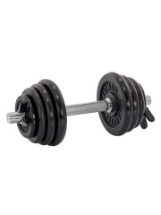 Гантель разборная чугунная FITMAN DAF-2023B 11.4 кг, гриф металлический, замок пружинный