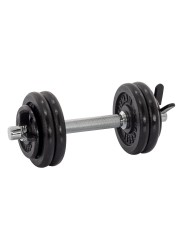 Гантель разборная чугунная FITMAN DAF-2023B 8.2 кг, гриф металлический, замок пружинный